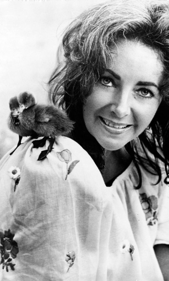 A More Relaxed Looking Side To Elizabeth Taylor, 1971