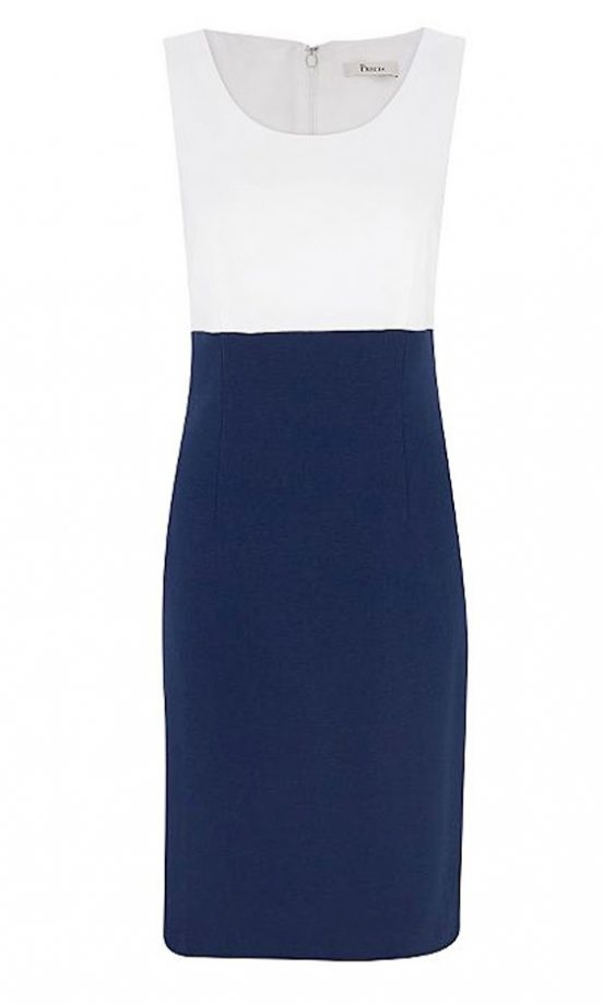 Precis Petite Two Tone Shift Dress, £89
