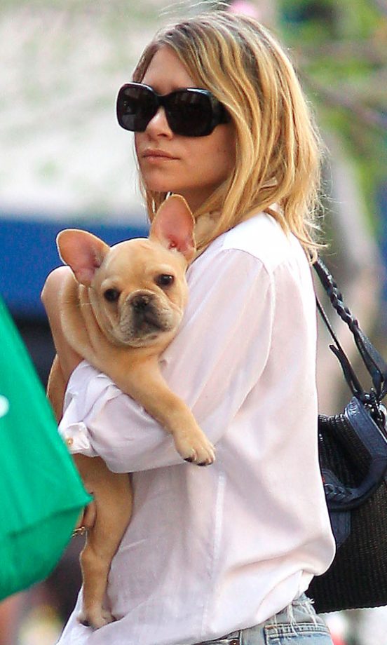 Ashley Olsen Takes Her Adorable French Bulldog Puppy Out In New York, April 2010