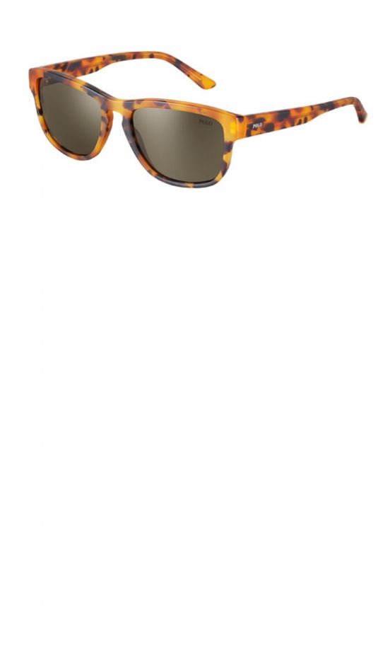 Polo Ralph Lauren Tortoise Shell Wayfarers At The Sunglasshut.co.uk, £120