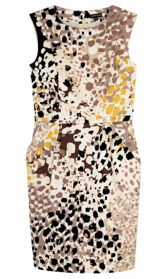 Warehouse Graphic Spot Dress, £60