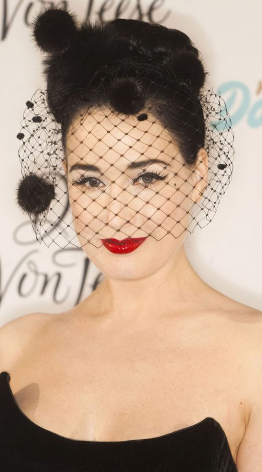 Dita Von Teese Looks Sexy And Mysterious With This Hairnet Covering Her Face, 2011