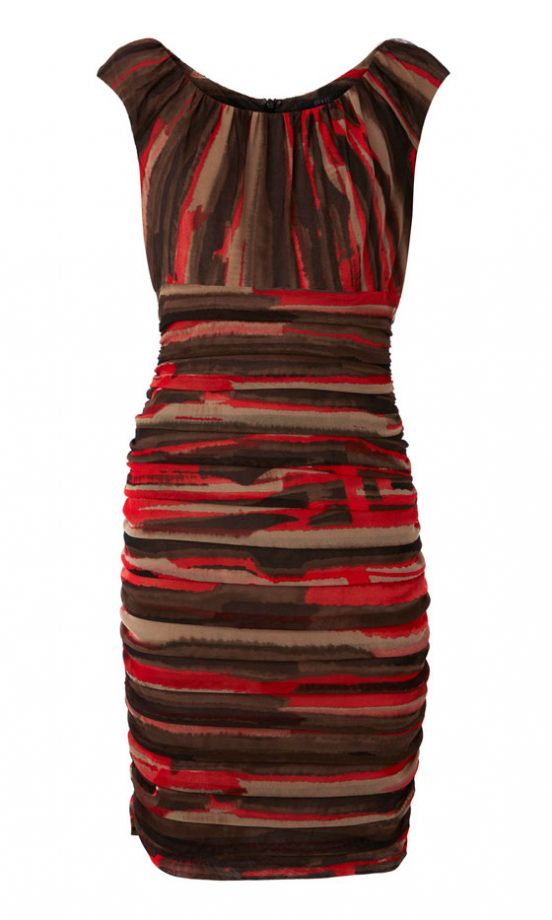 Coast printed Mesh dress, £125