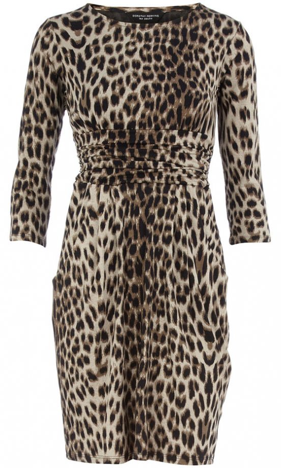 Dorothy Perkins Leopard Print Dress, £30