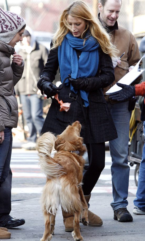 Blake Lively Took Boyfriend took Ryan Reynolds' Dog Baxter For A Walk On The Gossip Girl Set - Could This Be The Luckiest Dog In The World?