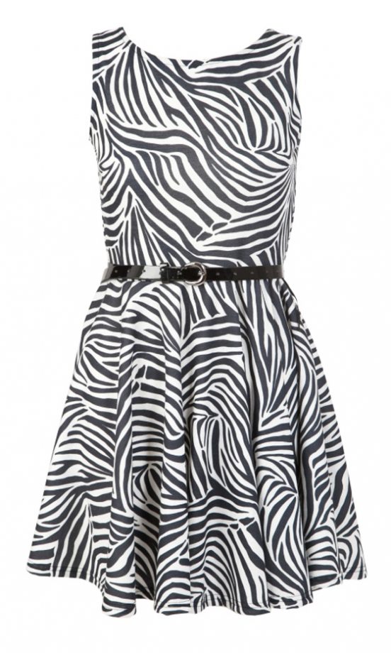 Miso Republic Zebra Print Stripe Dress, £25