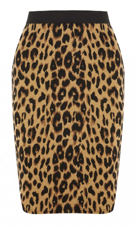 Warehouse Animal Jacquard Skirt, £28