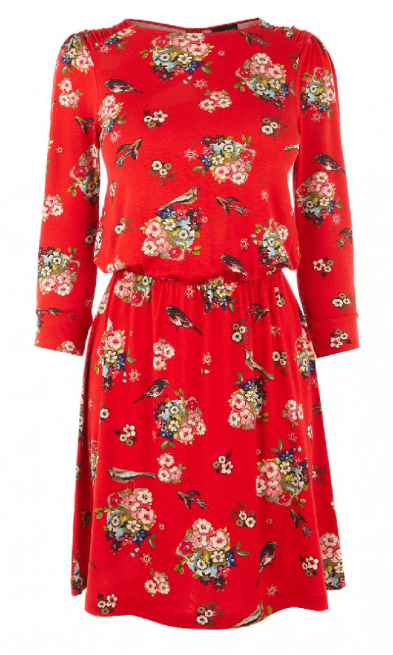 Warehouse Bird Print Dress, £45