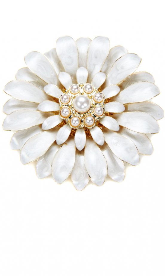 Monsoon Brooch, £6