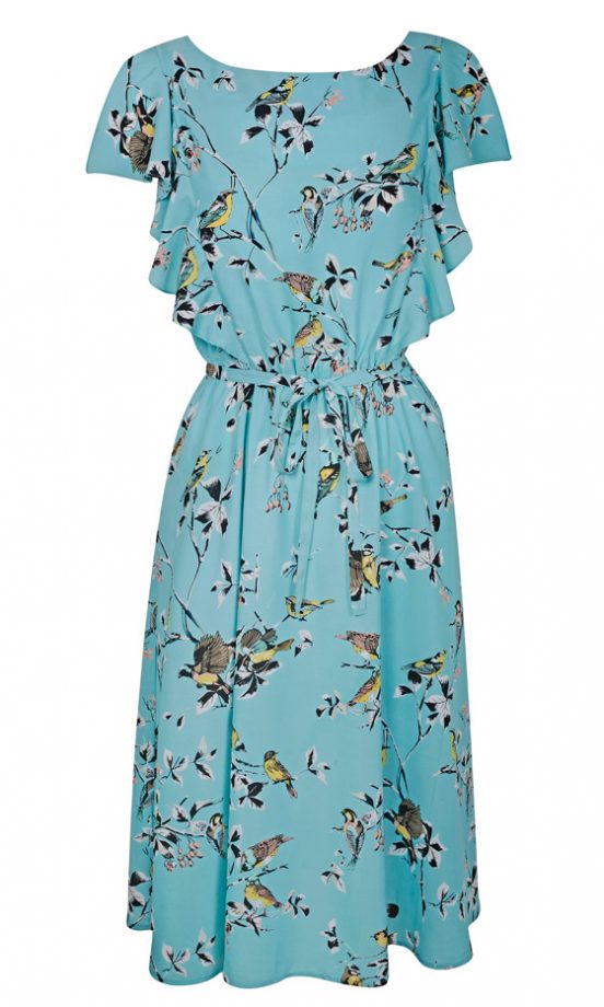 Dorothy Perkins SS12 Bird Print Dress