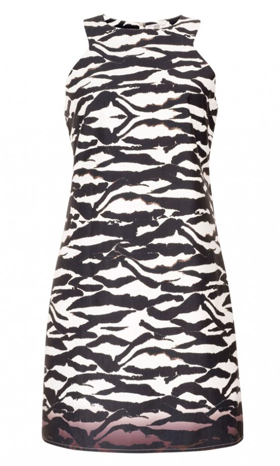 New Look SS12 Zebra Print Dress