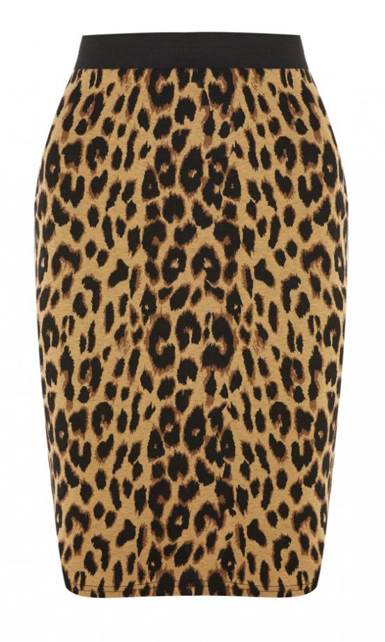 Warehouse Leopard Print Pencil Skirt, £28