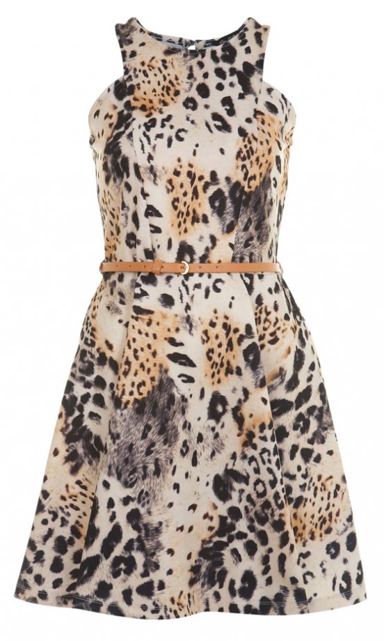 Miss Selfridge Sporty Animal Skater, £39.00
