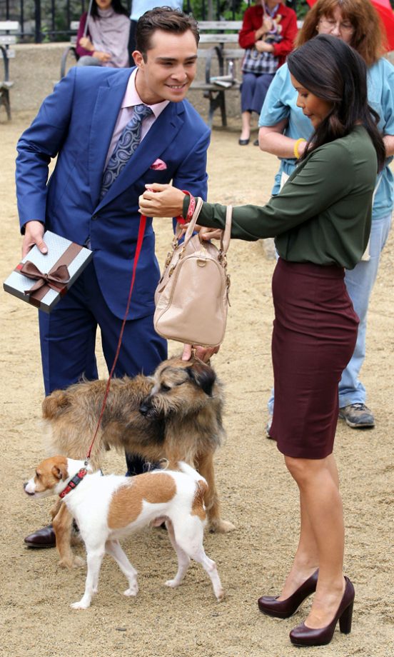 Ed Westwick Shows Off His New Accessories On The Gossip Girl Set - A Collection Of Dogs