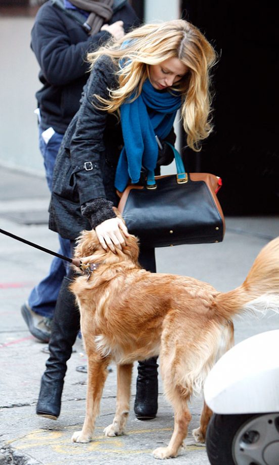 Blake Lively Took Ryan Reynold's Dog Baxter On The Gossip Girl Set, 2011