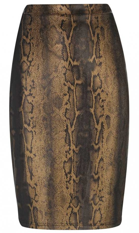 Dorothy Perkins Gold Snake Skirt, £24