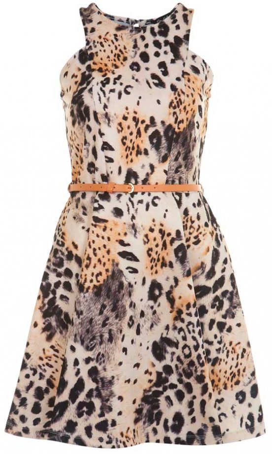 Miss Selfridge Animal Skater Dress, £39