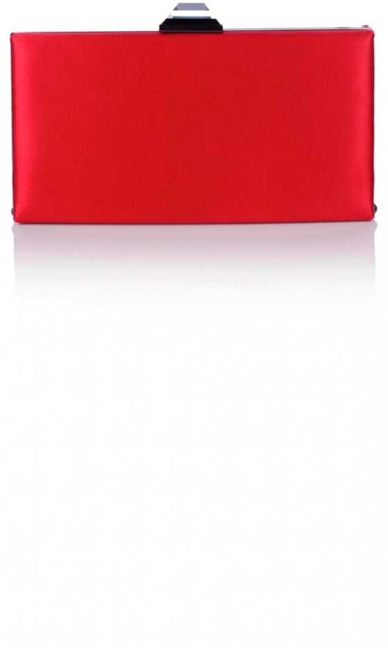 Coast Pisa Clutch, £45