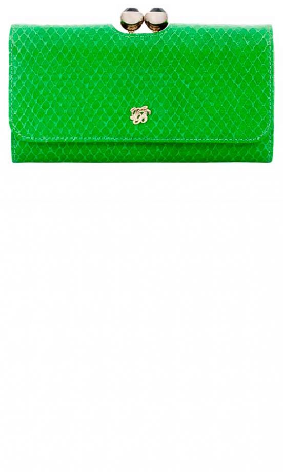 Ted Baker Green Purse, £99