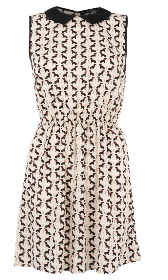 Primark AW12 Dog Print Dress