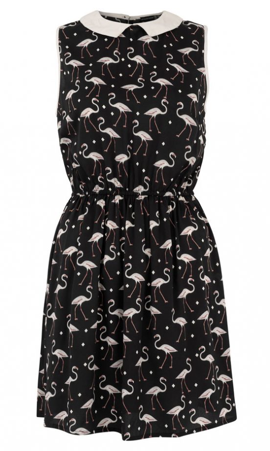 Primark AW12 Flamingo Print Dress