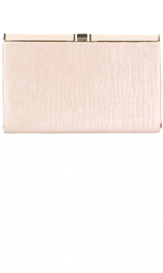 Primark AW12 Nude Box Clutch