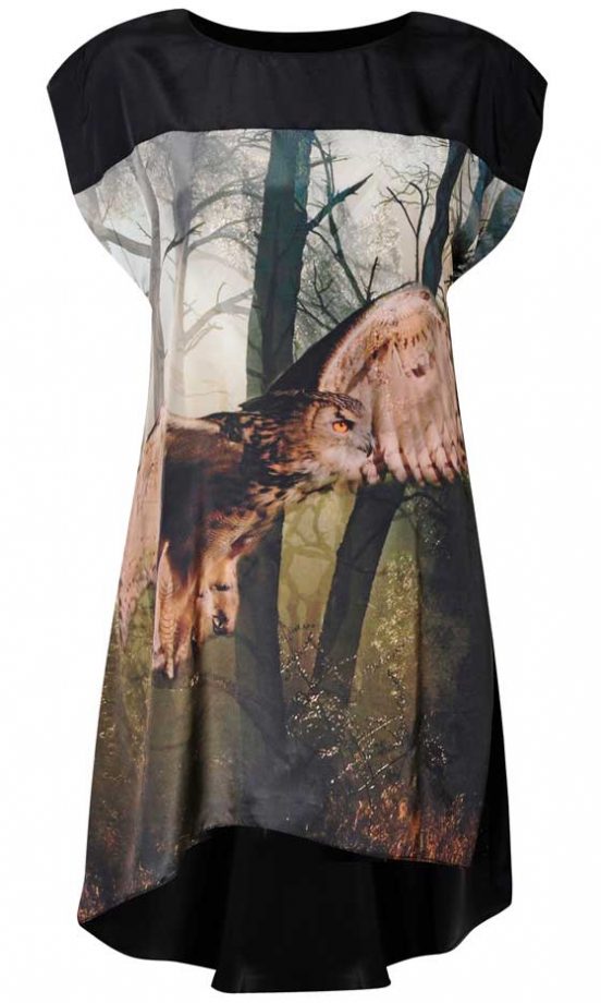 Miss Selfridge, AW12, Graphic Owl Print T-Shirt, £42