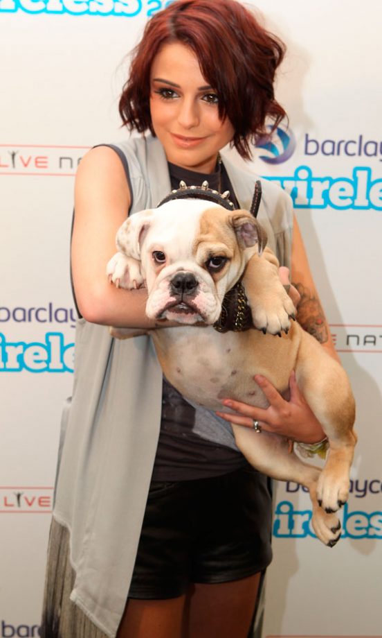 Cher Llyod At Wireless Festival, 2012