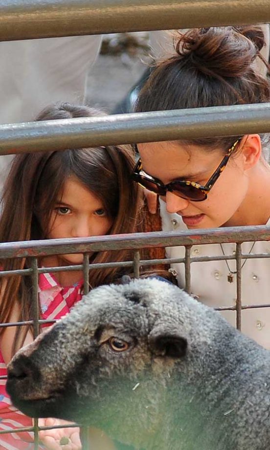 Katie And Daughter Suri Enjoy Petting The Animals At Central Park Zoo, 2012