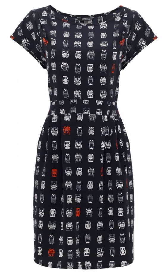 Marks And Spencer Owl Print Dress, £37.50