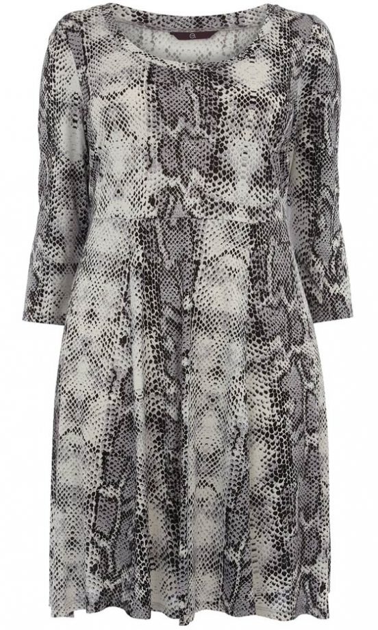 Evans Snake Print Dress, £45