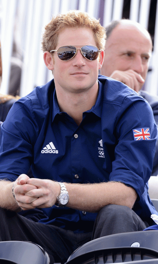 Prince Harry The Charmer