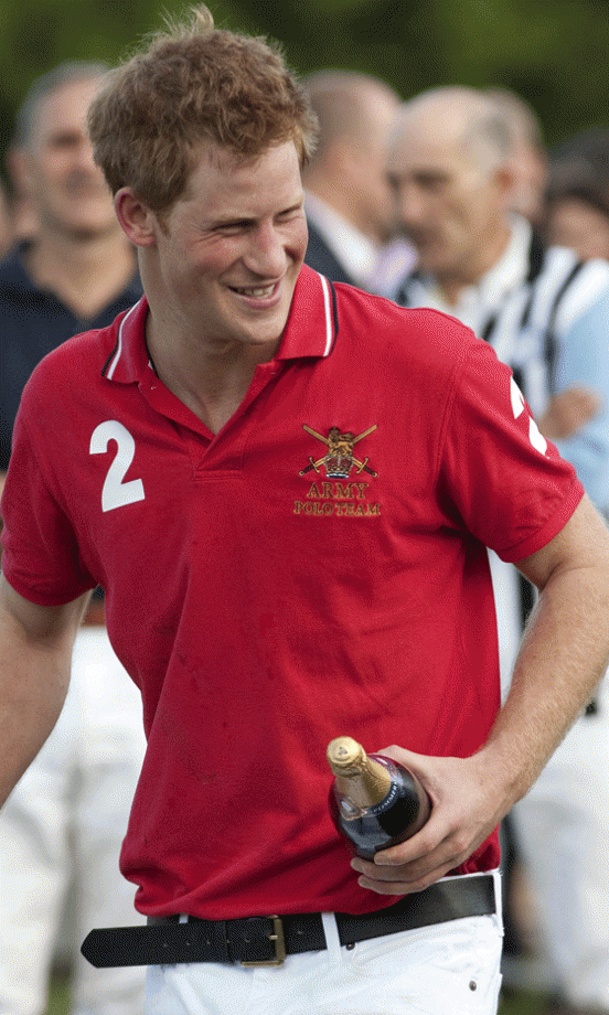 Prince Harry The Party Animal