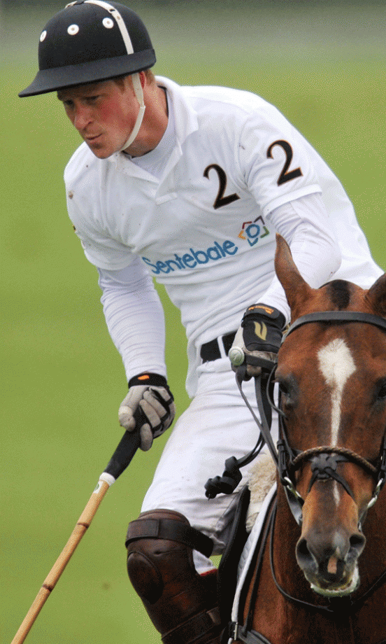 Prince Harry - Our Shining Knight