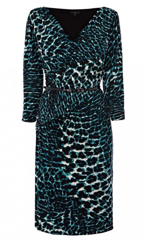 Coast Anda Leopard Dress, £95