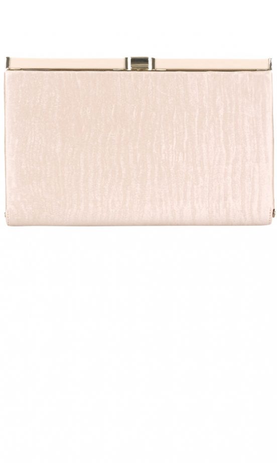Primark AW12 Nude Box Clutch