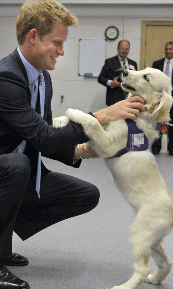 Prince Harry Loves Animals