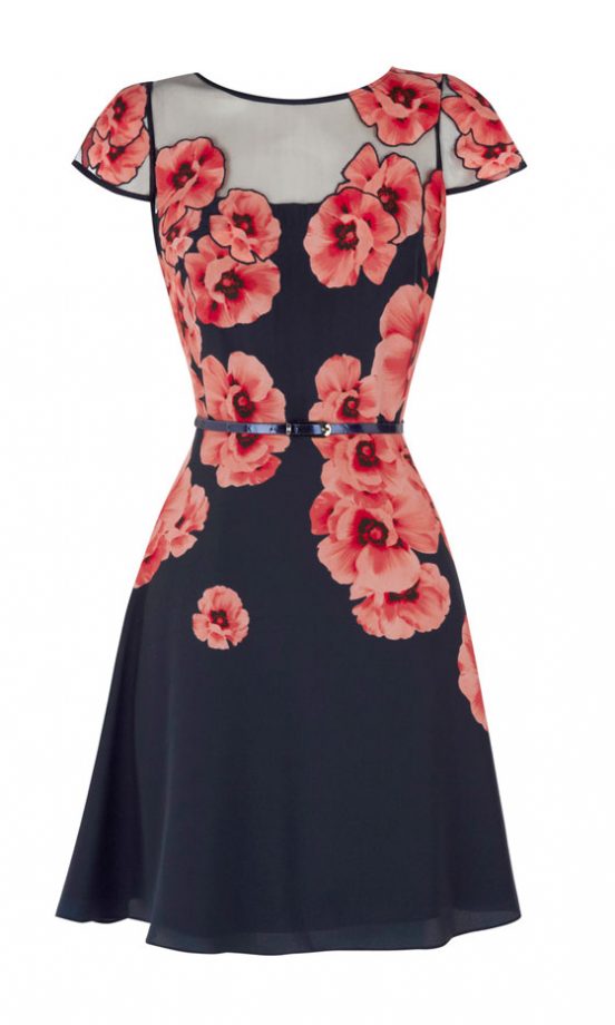 Coast Zurie Dress, £160