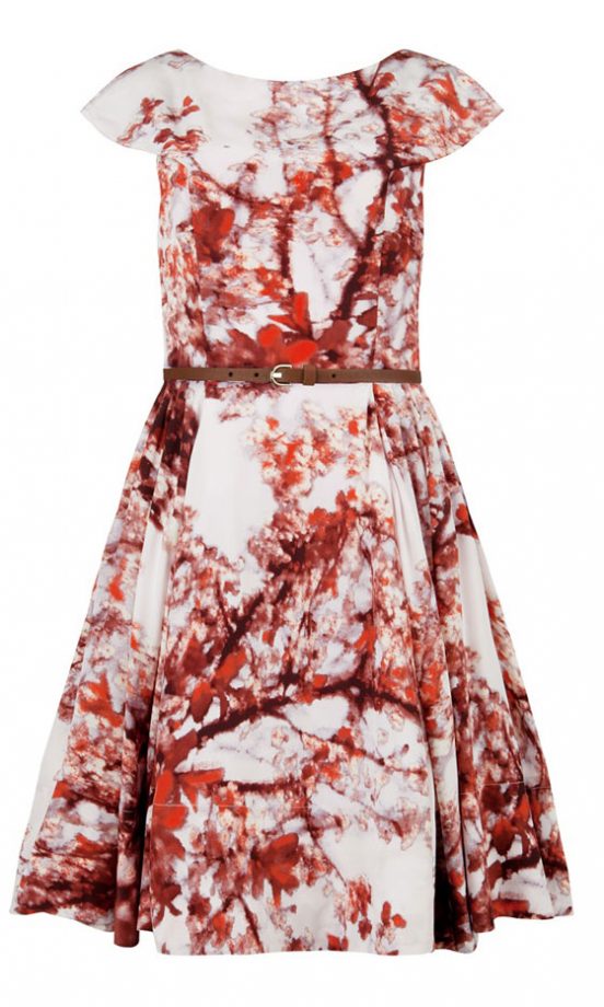 Ted Baker Printed Full Skirt Dress, £199