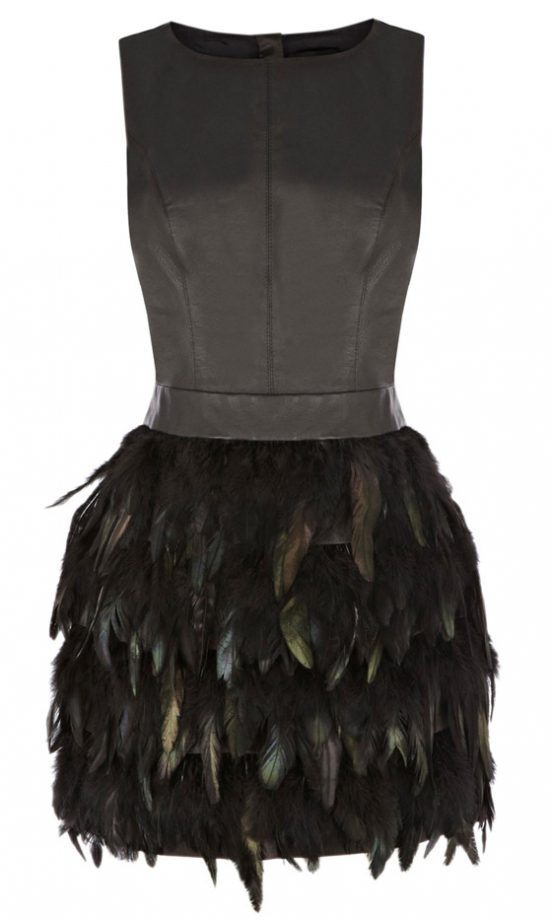 Warehouse Feather Skirt Dress, £160