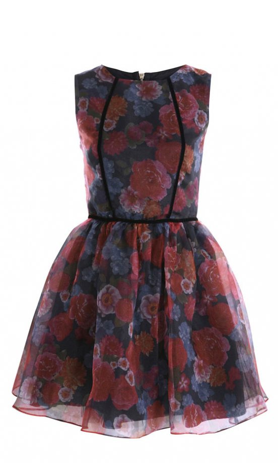 Miss Selfridge Printed Organza Dress, £55