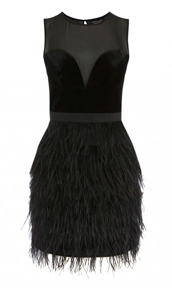 Warehouse Feather Hem Dress, £130