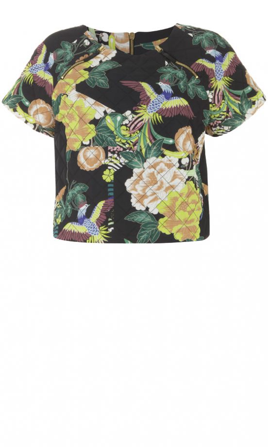 Topshop AW12 Bird Print Quilted Top, £45