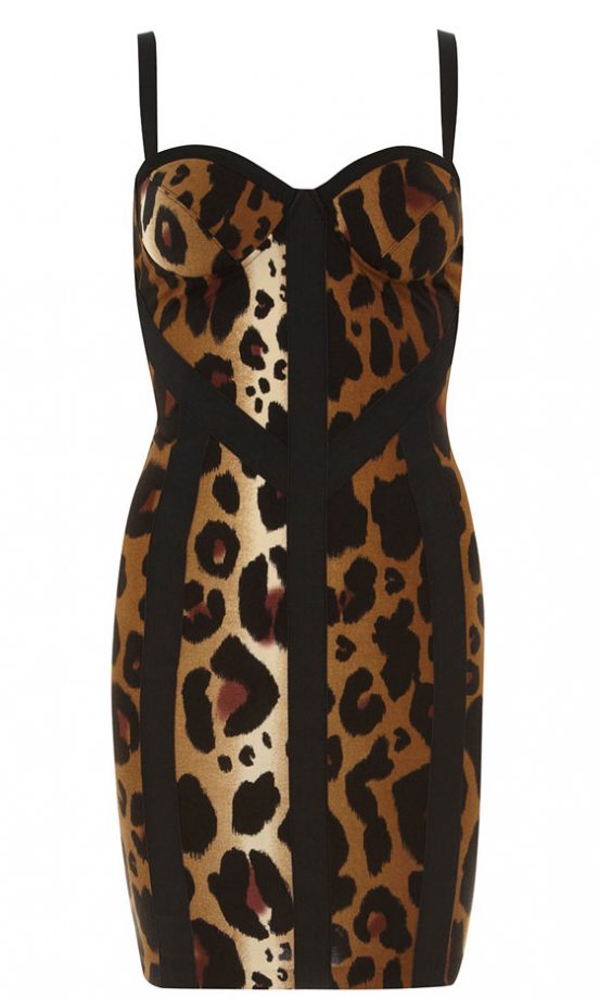 Kardashian Kollection At Dorothy Perkins Leopard Dress, £50