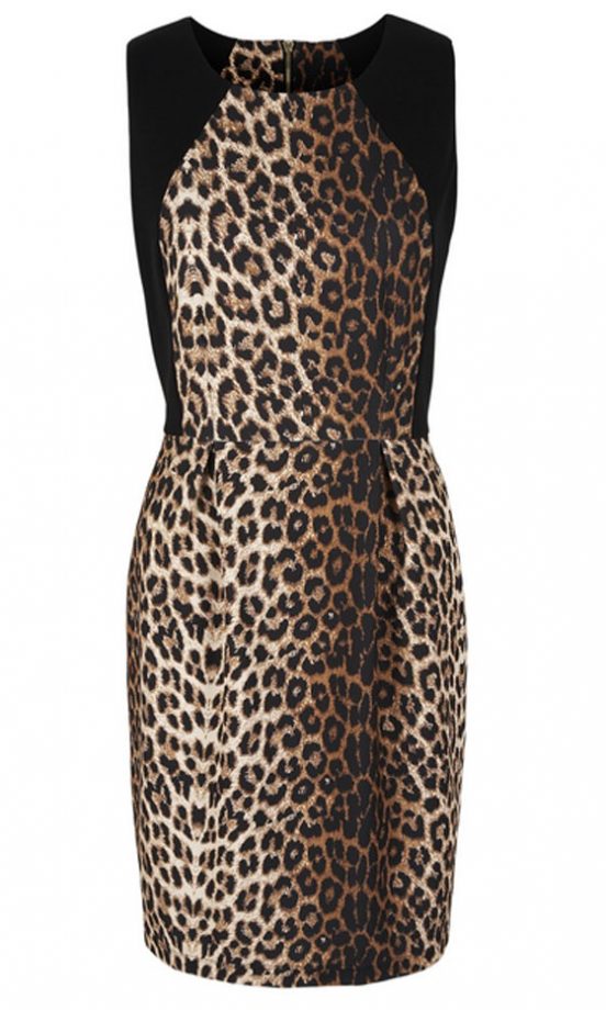 George At Asda Leopard Print Dress, £18