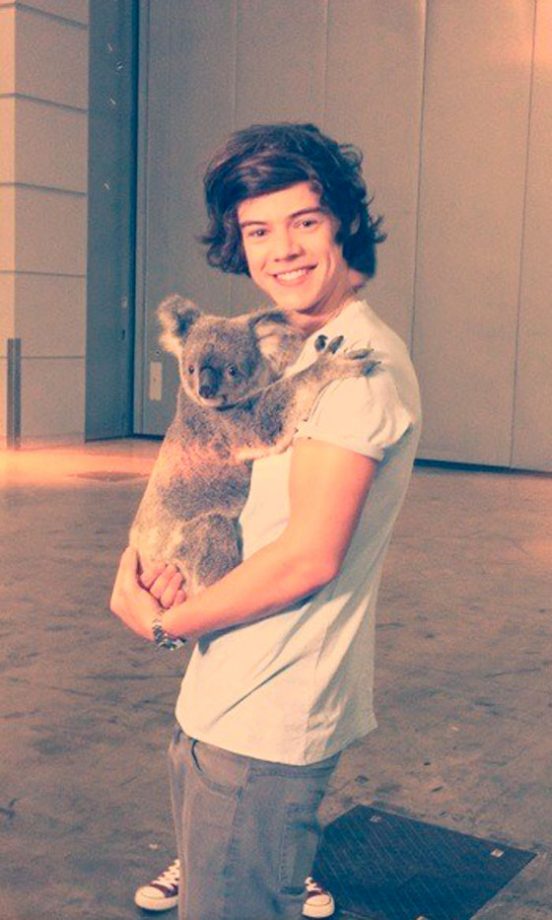 Aw Harry Styles @Harry_Styles! 2012
