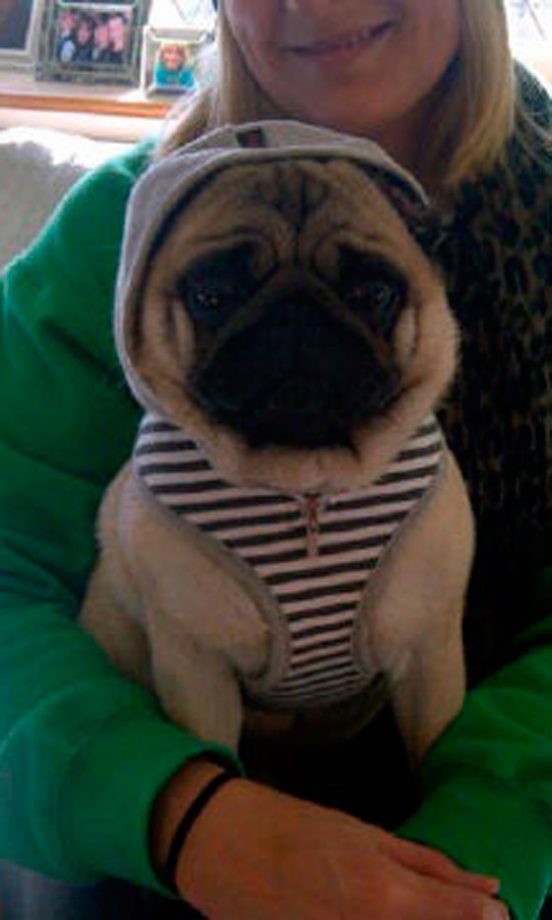 Frankie Sandford @FrankieTheSats Tweeted This Extra Cute Pic Of Her Pooch, 2012