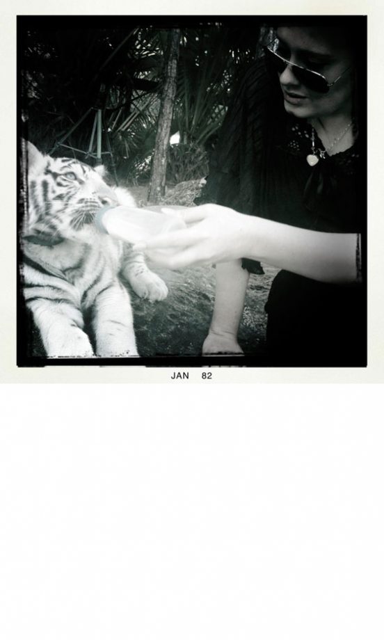 Adele @OfficialAdele Meets A Baby White Tiger, So Cute! 2012