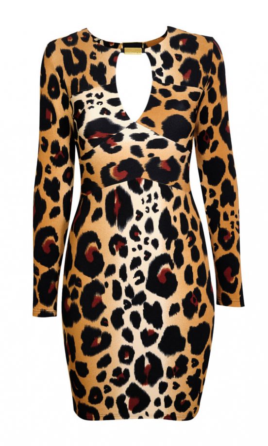 Dorothy Perkins Kardashian Kollection Animal Print Long Sleeved Dress, £40