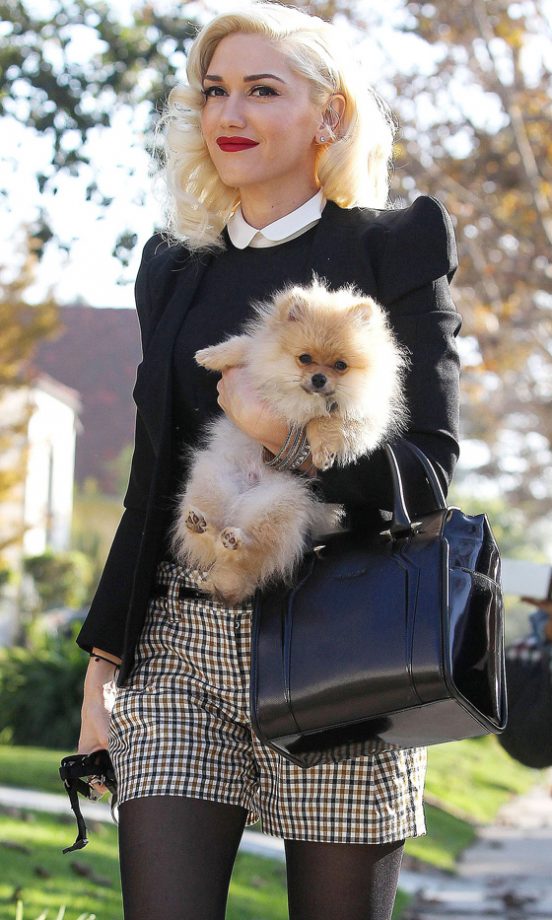 Gwen Stefani Out In LA, 2012